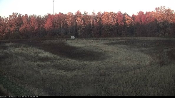 Cell 4_23-11-12_17-05-44-76