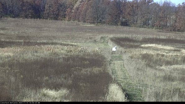 Cell 1 to 2_23-11-13_10-56-23-76