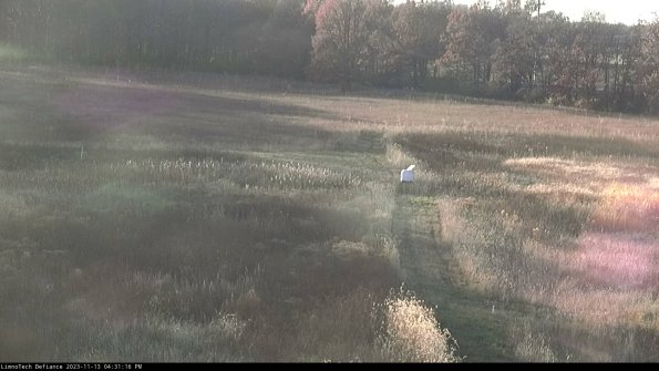 Cell 1 to 2_23-11-13_16-31-16-79