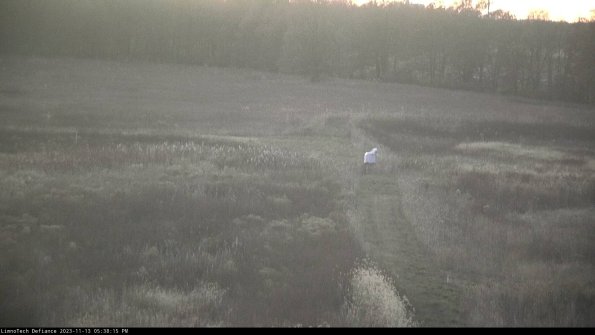 Cell 1 to 2_23-11-13_17-38-15-79