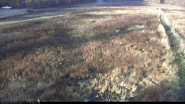 Cell 1_23-11-13_08-08-41-76