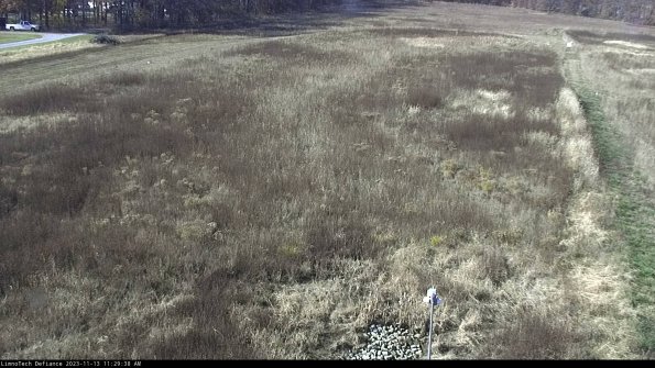 Cell 1_23-11-13_11-29-38-77