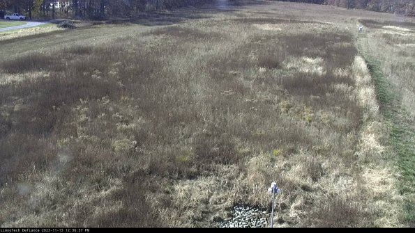 Cell 1_23-11-13_12-36-37-77