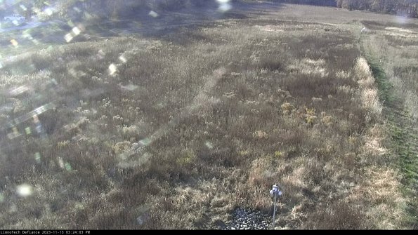 Cell 1_23-11-13_15-24-03-77