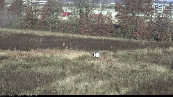 Cell 2 to 3_23-11-13_08-09-21-97