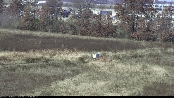 Cell 2 to 3_23-11-13_10-56-49-92