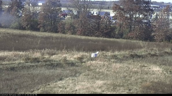 Cell 2 to 3_23-11-13_15-24-43-84