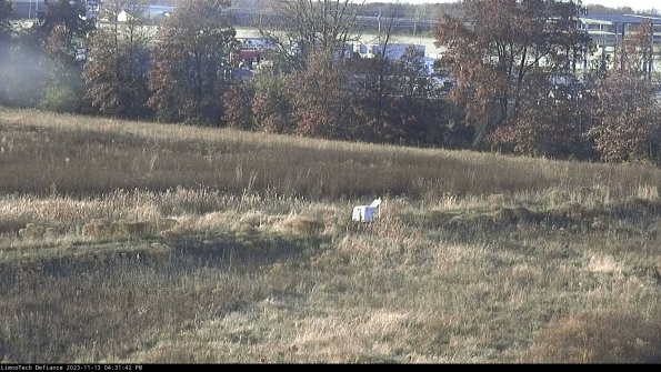 Cell 2 to 3_23-11-13_16-31-42-85