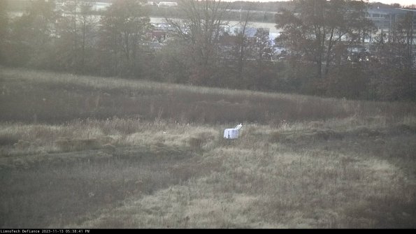 Cell 2 to 3_23-11-13_17-38-41-85