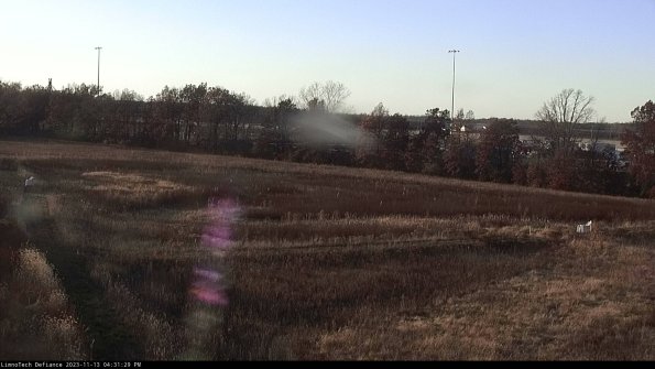 Cell 2_23-11-13_16-31-29-77