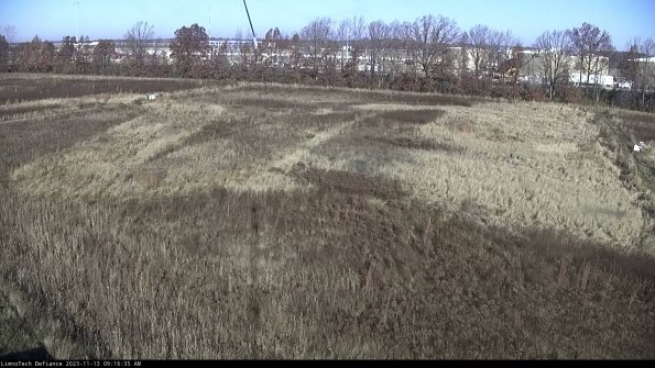 Cell 3_23-11-13_09-16-35-78