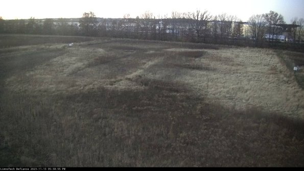 Cell 3_23-11-13_17-38-56-00