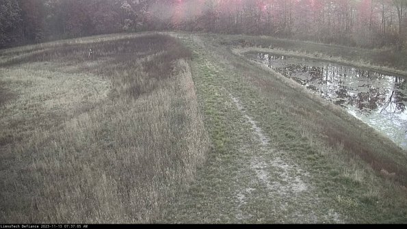 Cell 4 to Basin_23-11-13_07-37-05-76