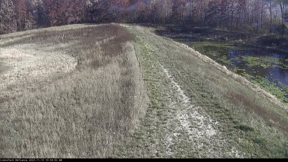 Cell 4 to Basin_23-11-13_10-58-02-80