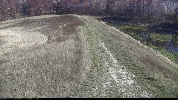 Cell 4 to Basin_23-11-13_11-31-31-78