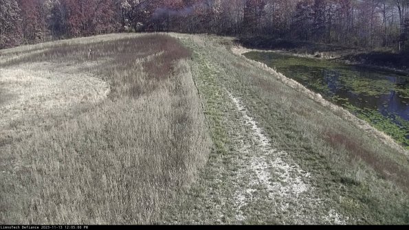 Cell 4 to Basin_23-11-13_12-05-00-77