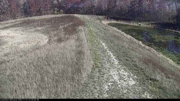 Cell 4 to Basin_23-11-13_12-38-30-79