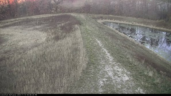 Cell 4 to Basin_23-11-13_17-06-24-78