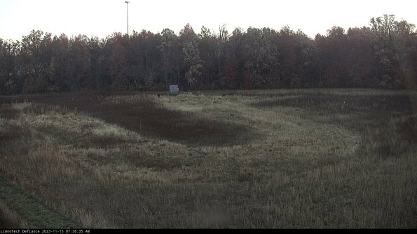 Cell 4_23-11-13_07-36-35-80