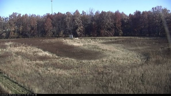 Cell 4_23-11-13_09-17-03-78