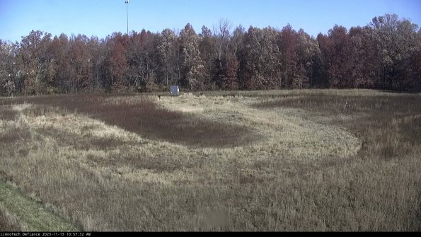 Cell 4_23-11-13_10-57-32-77