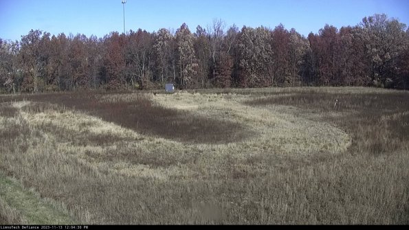 Cell 4_23-11-13_12-04-30-77