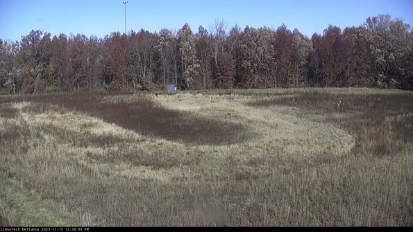 Cell 4_23-11-13_12-38-00-79