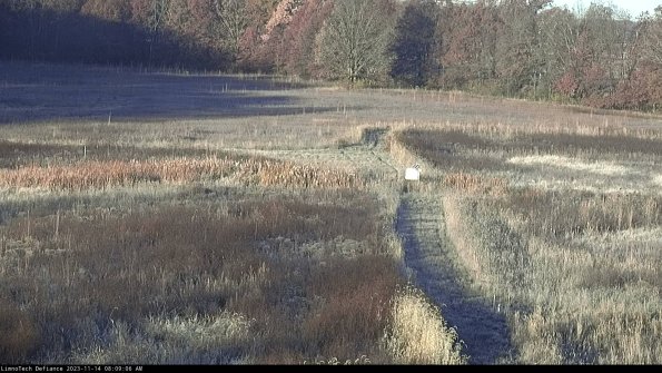 Cell 1 to 2_23-11-14_08-09-06-79