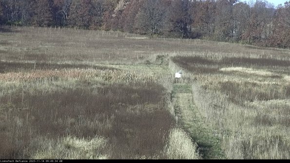 Cell 1 to 2_23-11-14_09-49-34-77