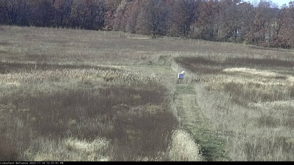 Cell 1 to 2_23-11-14_12-37-01-76