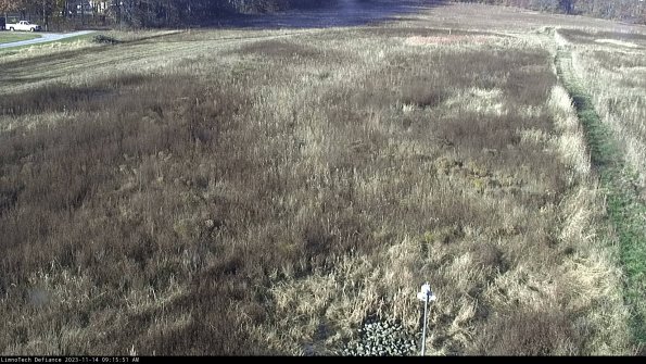 Cell 1_23-11-14_09-15-51-77