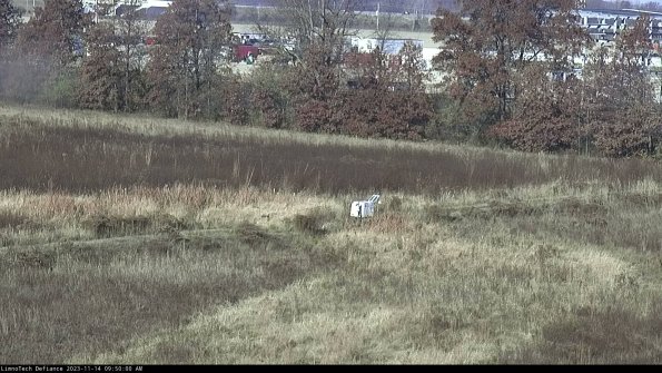 Cell 2 to 3_23-11-14_09-50-00-93