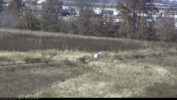 Cell 2 to 3_23-11-14_12-37-27-79