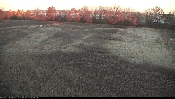 Cell 3_23-11-14_07-36-17-78