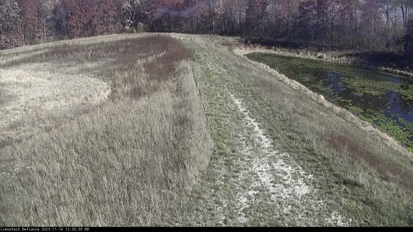 Cell 4 to Basin_23-11-14_12-38-39-79