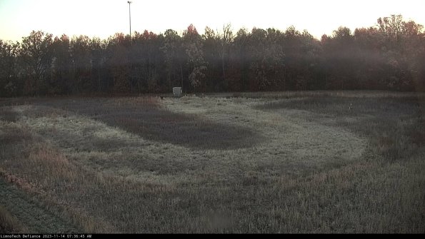 Cell 4_23-11-14_07-36-45-77