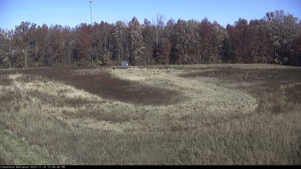 Cell 4_23-11-14_12-04-40-78