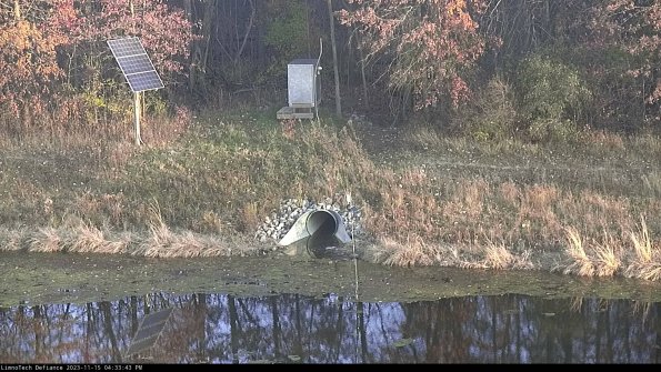 Basin Inflow_23-11-15_16-33-43-80