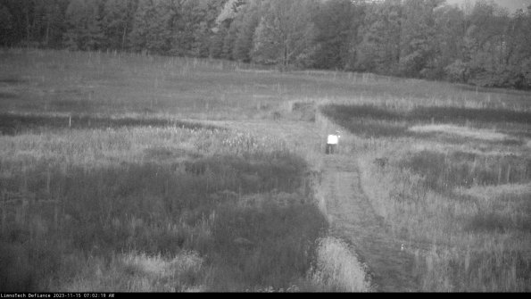 Cell 1 to 2_23-11-15_07-02-19-81