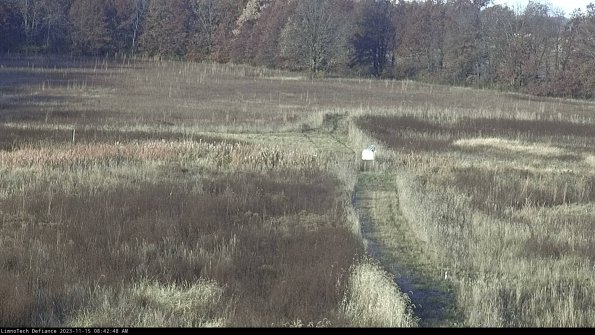 Cell 1 to 2_23-11-15_08-42-48-81