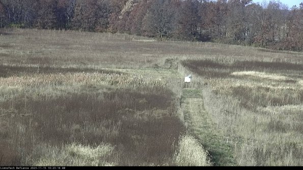 Cell 1 to 2_23-11-15_10-23-16-80