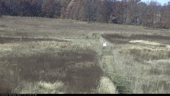 Cell 1 to 2_23-11-15_11-30-15-80