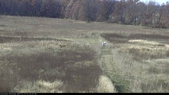 Cell 1 to 2_23-11-15_13-10-41-79