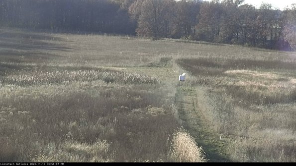 Cell 1 to 2_23-11-15_15-58-07-79