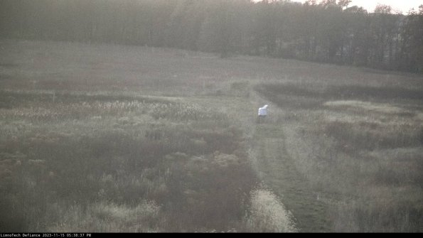 Cell 1 to 2_23-11-15_17-38-37-78