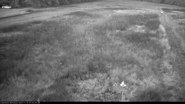 Cell 1_23-11-15_07-02-05-79