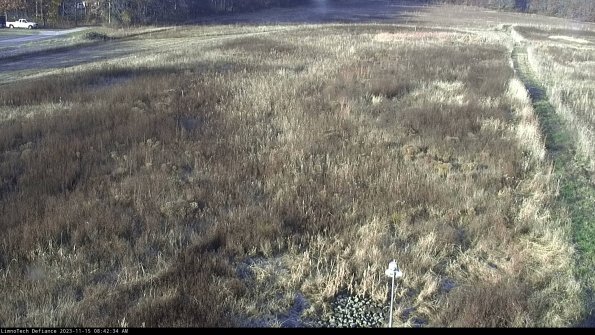 Cell 1_23-11-15_08-42-34-80