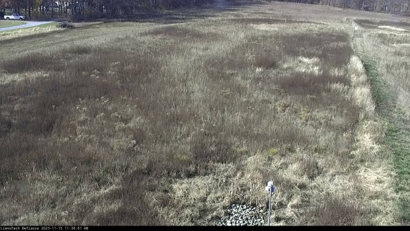 Cell 1_23-11-15_11-30-01-79