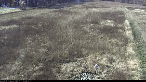 Cell 1_23-11-15_12-36-58-83