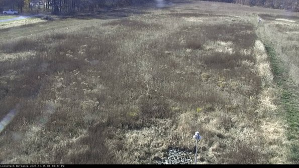 Cell 1_23-11-15_13-10-27-78